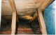 View Attic Mushroom Farming